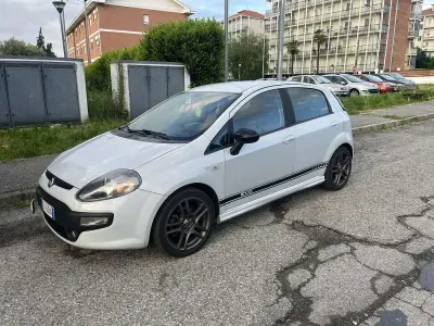 Usata Fiat Punto Evo