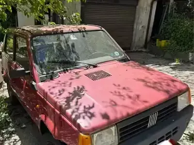 Usata Fiat Panda 39 CV (28 kW) 1998 Rosso Utilitaria