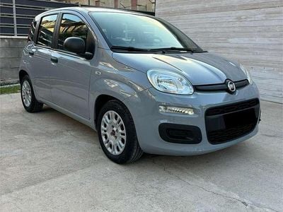 Usata Fiat Panda S 69 CV (50 kW) 2021 Utilitaria
