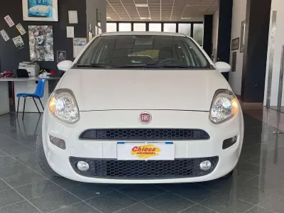 Usata Fiat Punto Lounge 77 CV (56 kW) 2016 Other Utilitaria