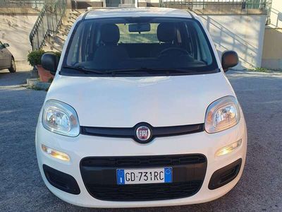 Usata Fiat Panda Easy 69 CV (50 kW) 2020 Bianco Utilitaria