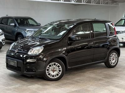 Usata Fiat Panda S 69 CV (50 kW) 2023 Nero Utilitaria