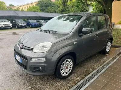 Usata Fiat Panda 69 CV (50 kW) 2017 Grigio Utilitaria