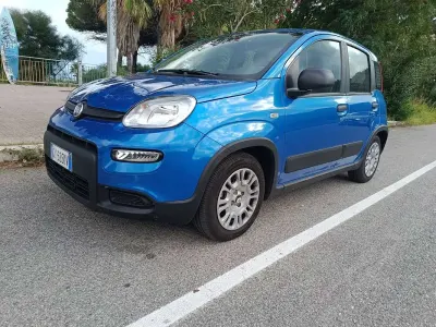 Usata Fiat Panda Cross