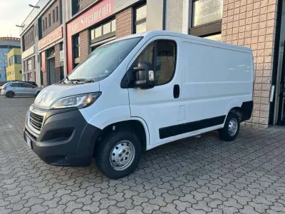 Usata Fiat Ducato S 120 CV (88 kW) 2020 Bianco Furgone