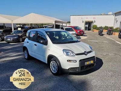 Usata Fiat Panda S 70 CV (51 kW) 2023 Bianco Utilitaria