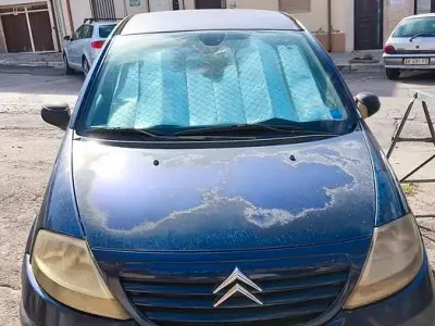 Usata Citroën C3 68 CV (50 kW) 2006 Berlina