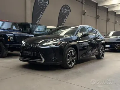 Usata Lexus UX 250h