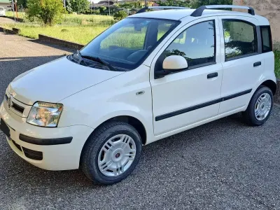 Usata Fiat Panda Dynamic 60 CV (44 kW) 2010 Bianco Utilitaria