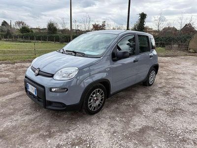 Usata Fiat Panda S 69 CV (50 kW) 2022 Grigio Utilitaria