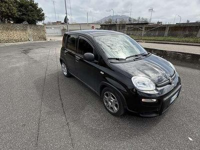 Usata Fiat Panda S 69 CV (50 kW) 2024 Utilitaria