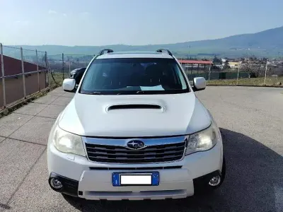 Usata Subaru Forester 2009 Bianco SUV