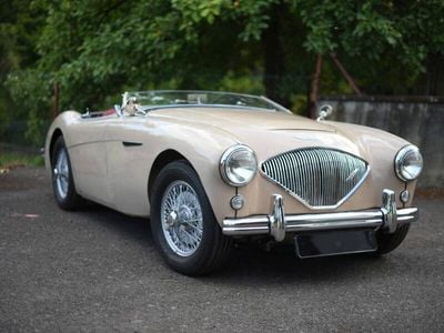 Austin Healey 100