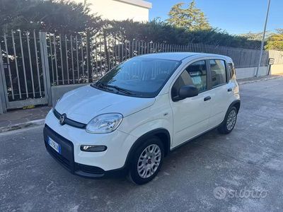 Usata Fiat Panda S 70 CV (51 kW) 2024 Bianco Utilitaria