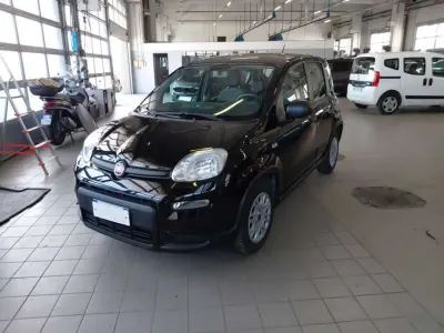Usata Fiat Panda Street 69 CV (50 kW) 2022 Nero Utilitaria