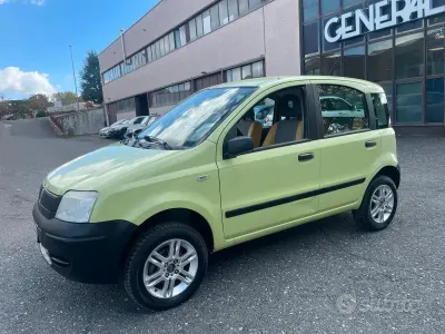 Usata Fiat Panda 4x4 60 CV (44 kW) 2005 Giallo Utilitaria
