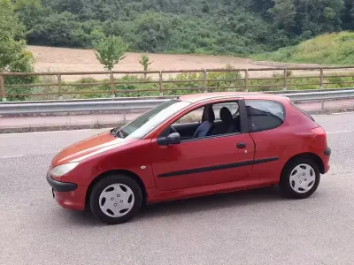 Usata Peugeot 206