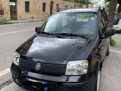 usata Fiat Panda Panda1.2 Dynamic Gpl