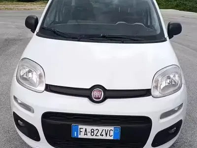 Usata Fiat Panda Lounge 80 CV (58 kW) 2015 Bianco Utilitaria