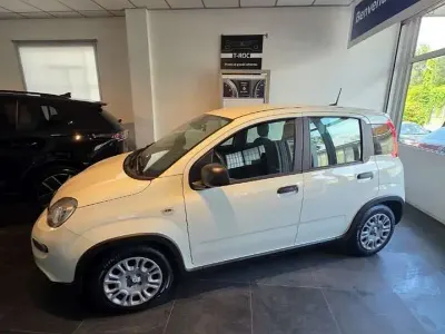 Usata Fiat Panda S 69 CV (50 kW) 2025 Bianco Utilitaria