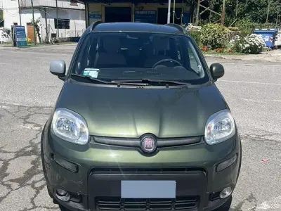 Usata Fiat Panda 4x4 75 CV (55 kW) 2014 Verde Utilitaria