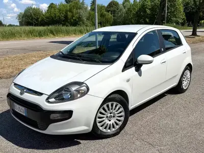 Usata Fiat Punto Evo S 75 CV (55 kW) 2011 Bianco Utilitaria