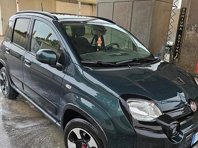 Usata Fiat Panda Cross Cross 69 CV (50 kW) 2024 Verde Utilitaria