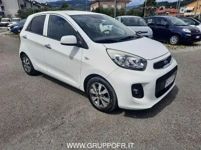 Usata Kia Picanto 69 CV (50 kW) 2017 Bianco Utilitaria