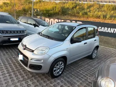 Usata Fiat Panda Easy 80 CV (58 kW) 2013 Grigio Utilitaria