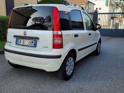 usata Fiat Panda 1.3 mjt 16v Active 75cv