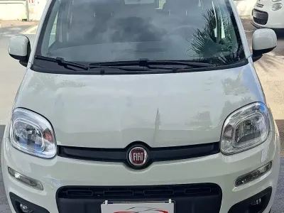 Usata Fiat Panda Easy 69 CV (50 kW) 2019 Bianco Utilitaria