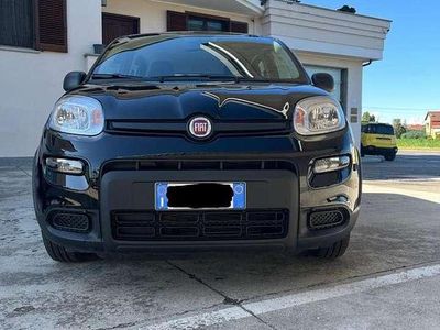 Usata Fiat Panda 69 CV (50 kW) 2024 Nero Utilitaria