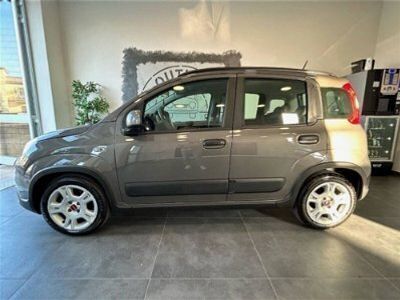 usata Fiat Panda Cross 1.0 FireFly S&S Hybrid City my 20 usato