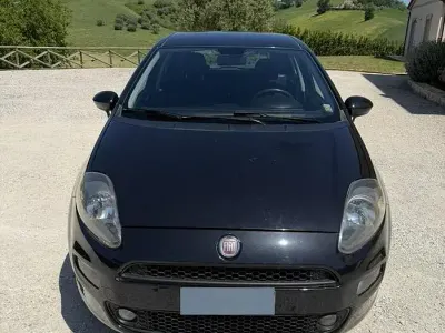 Usata Fiat Punto 75 CV (55 kW) 2014 Nero Utilitaria
