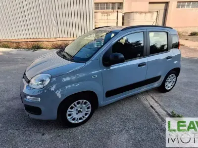 Usata Fiat Panda 69 CV (50 kW) 2020 Grigio Utilitaria