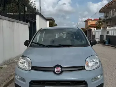 Usata Fiat Panda Easy 69 CV (50 kW) 2019 Grigio Utilitaria