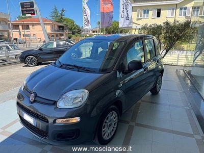 Usata Fiat Panda Easy 69 CV (50 kW) 2020 Grigio Utilitaria