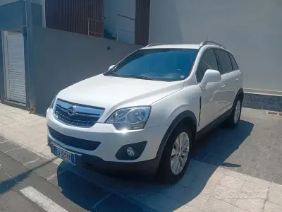 Usata Opel Antara Cosmo 163 CV (119 kW) 2014 Bianco SUV