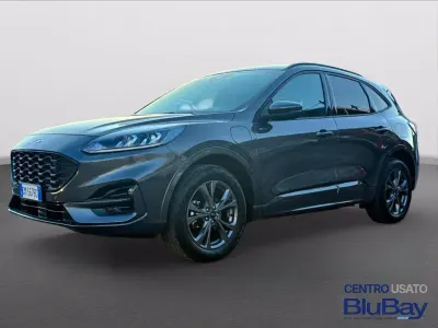 Usado Ford Kuga ST-Line 225 CV (165 kW) 2023 Gris SUV