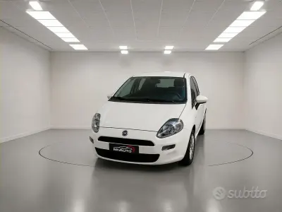 Usata Fiat Punto Lounge 69 CV (50 kW) 2014 Bianco Utilitaria
