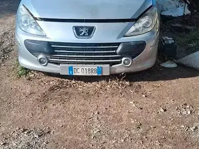 Usata Peugeot 307