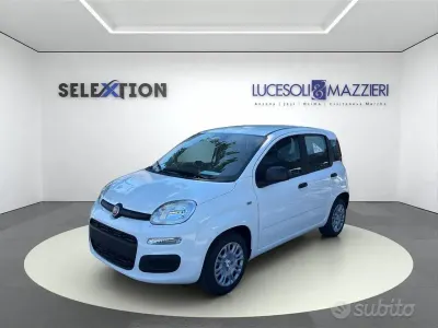 Nuova Fiat Panda Icon 65 CV (47 kW) 2026 Bianco Utilitaria
