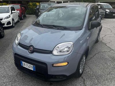 Usata Fiat Panda S 69 CV (50 kW) 2023 Grigio Utilitaria