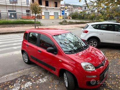 Usata Fiat Panda 2018 Rosso Berlina