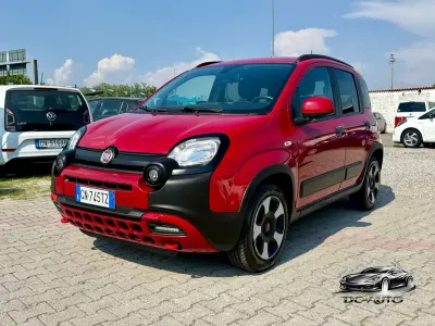 Usata Fiat Panda Cross Cross 69 CV (50 kW) 2023 Rosso Utilitaria