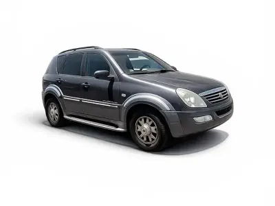 Usata SsangYong Rexton 165 CV (121 kW) 2005 Grigio SUV