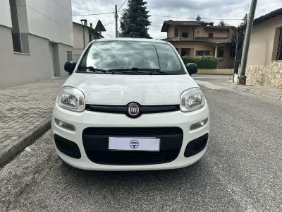 Usata Fiat Panda Easy 69 CV (50 kW) 2014 Bianco Utilitaria
