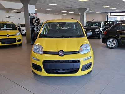 Nuova Fiat Panda S 69 CV (50 kW) 2025 Giallo pastello Utilitaria