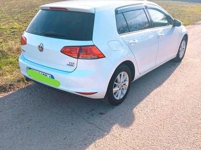 Usata VW Golf VII 150 CV (110 kW) 2016 Bianco Station wagon