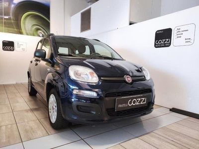 usata Fiat Panda Panda 3ª serie -1.2 Easy